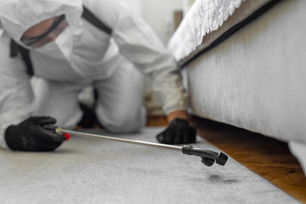 Professional Cockroach Control technician working in Roman Forest, TX